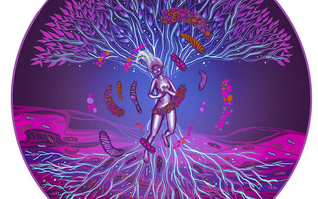 Conscious Consuming