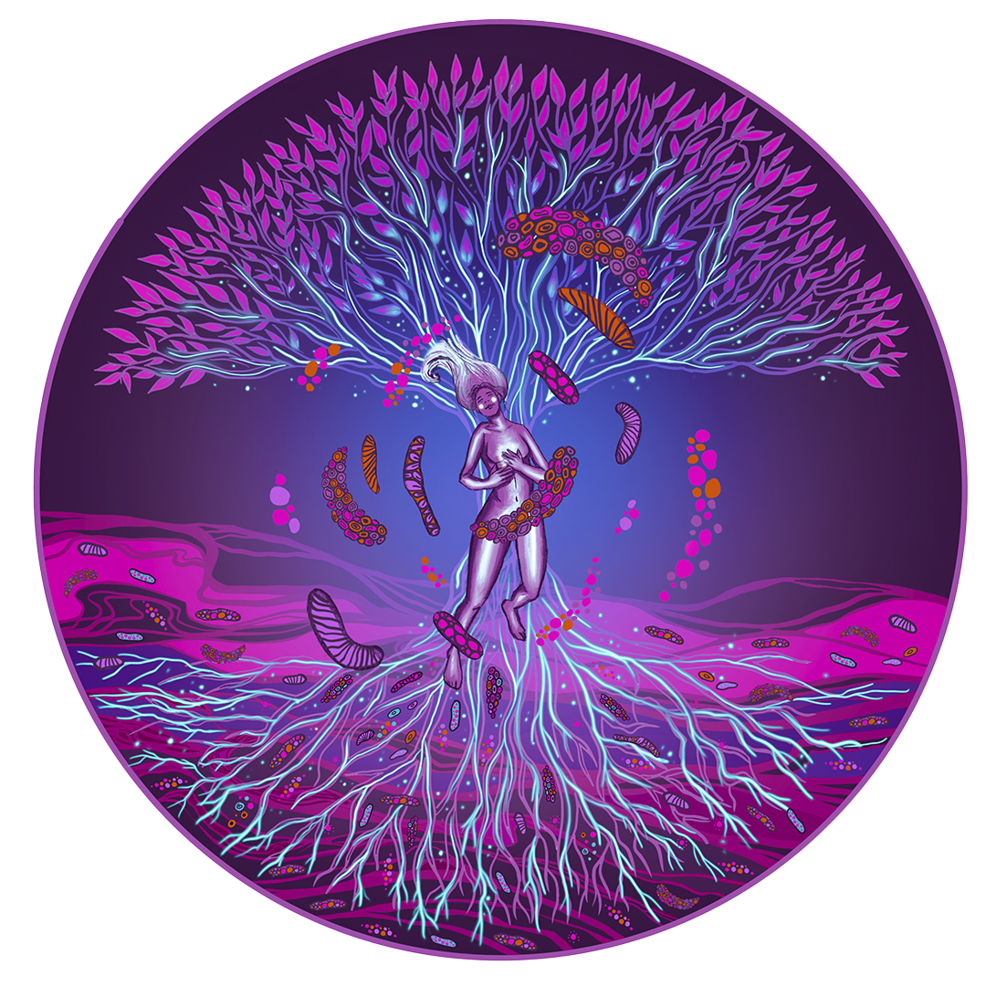 The Circle of Soil
