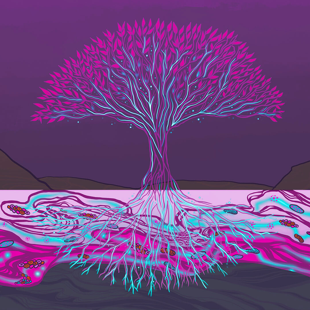 Mustard Tree rebuilding