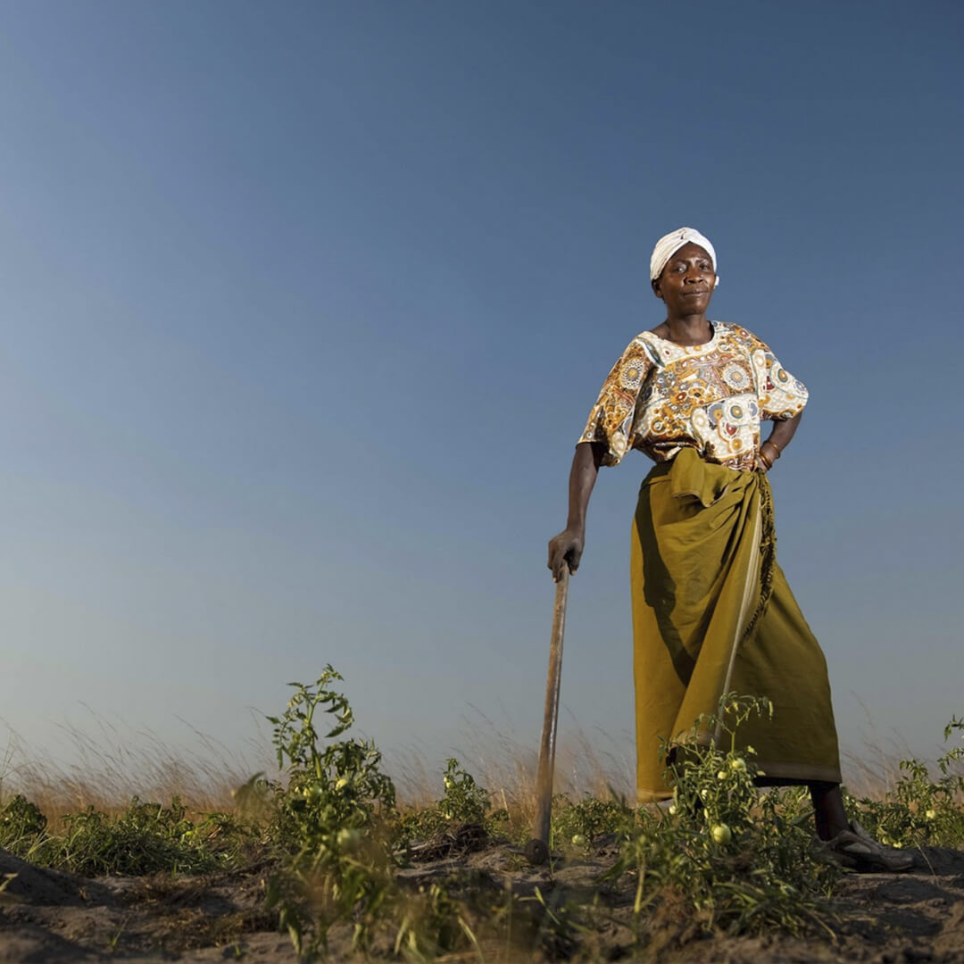 regenerative agriculture africa