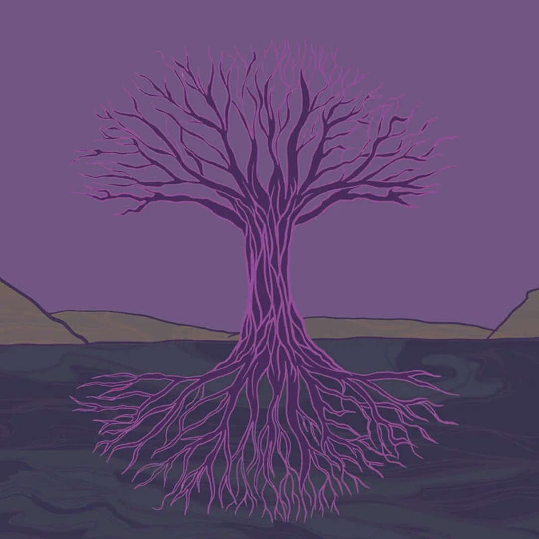 Mustard Tree rebuilding