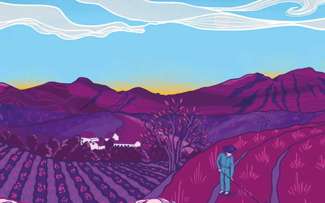 A day in our regenerative future